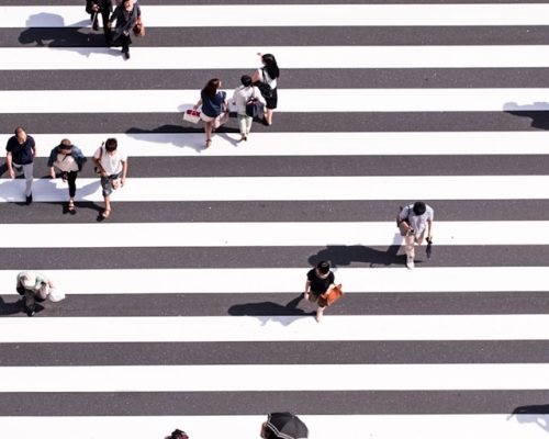 ryoji-iwata-n31JPLu8_Pw-unsplash